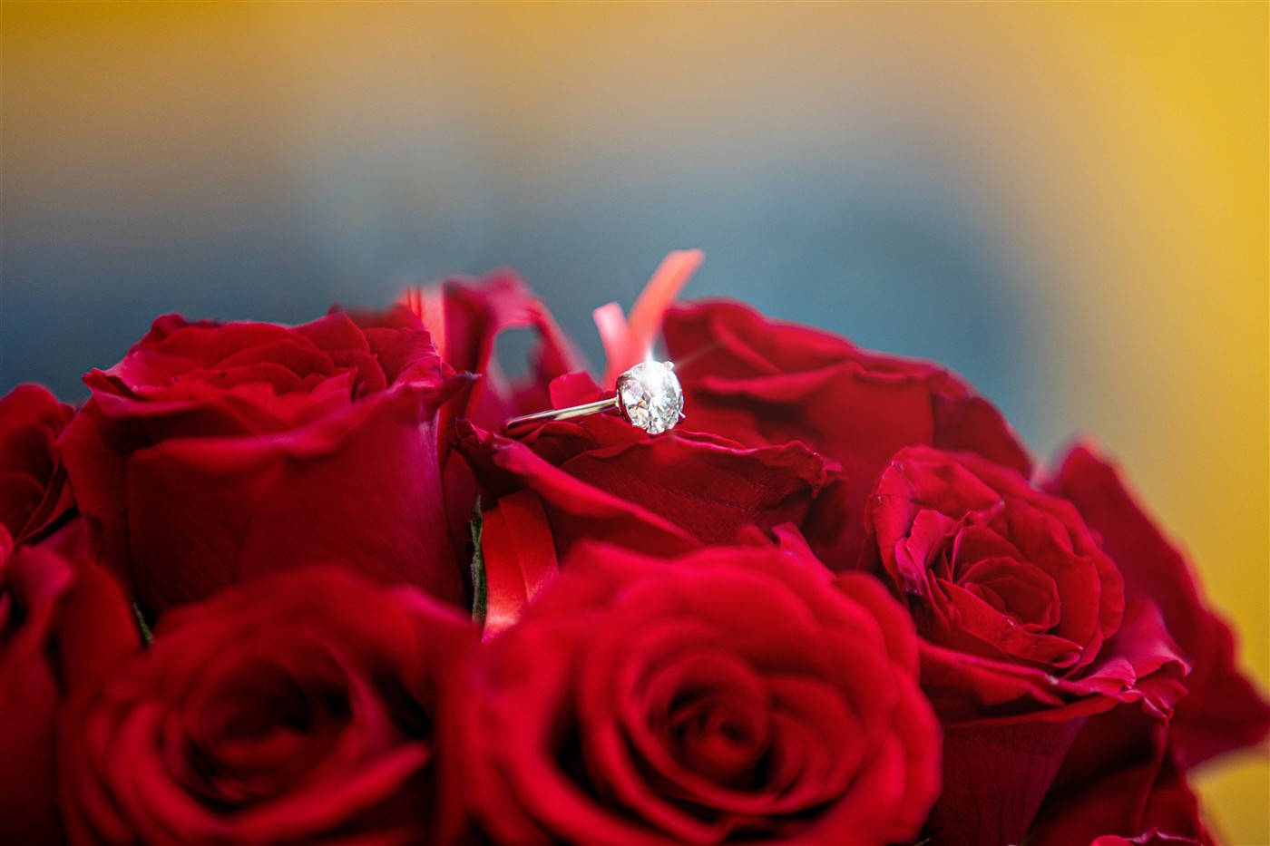 Avenoir Photography